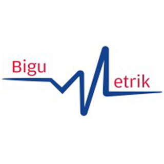 BIGUMETRIK